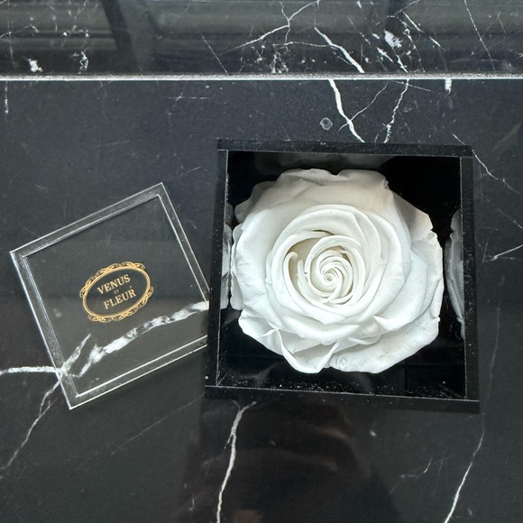 venus et fleur Other - Venus Et Fleur White Rose in Black Box